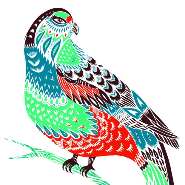 parrot illustration
